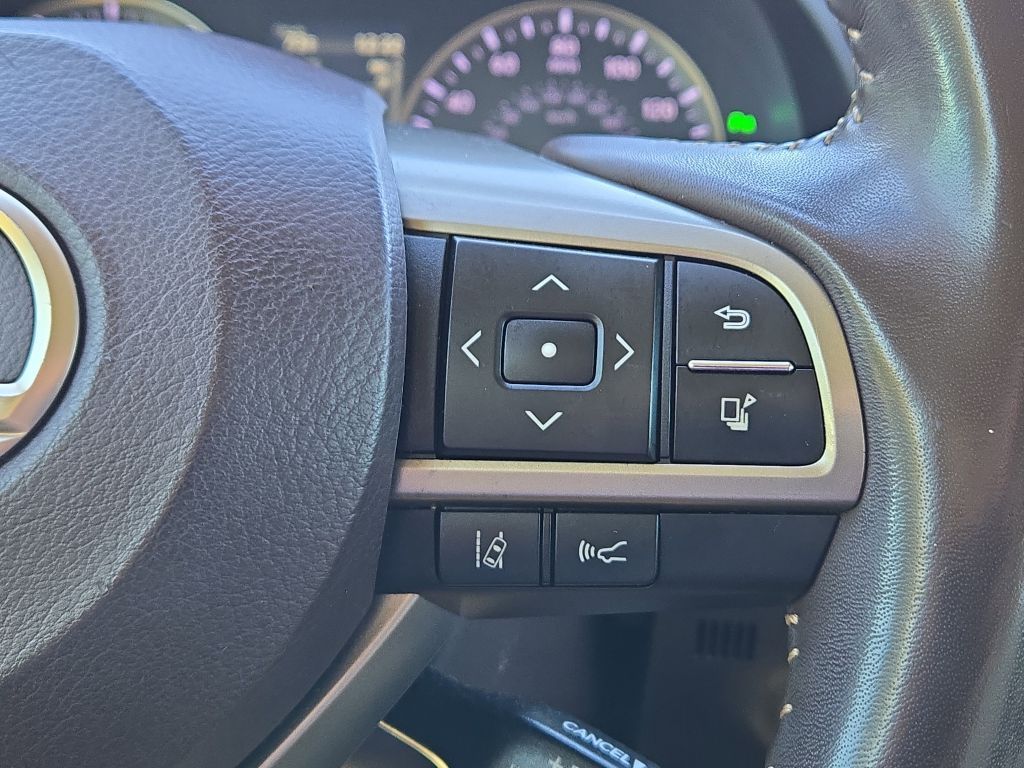 2019 Lexus RX 350 RX 350, 142226, Photo