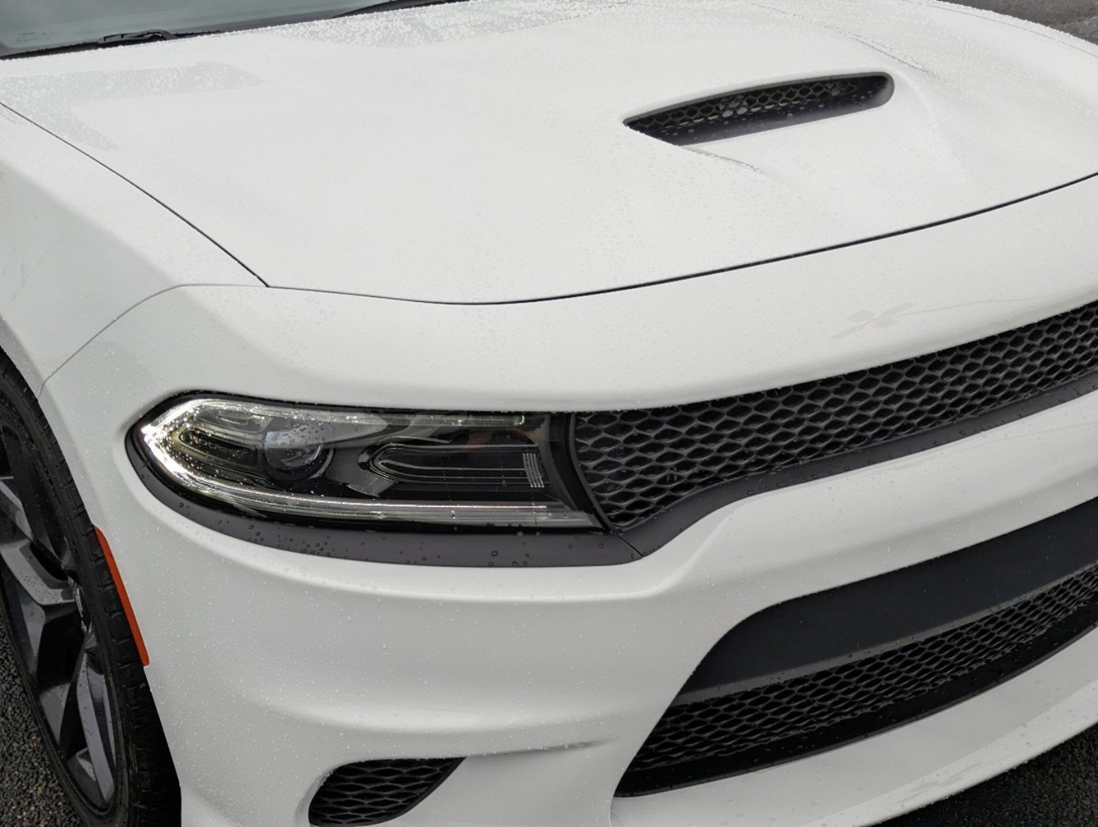 New, 2023 Dodge Charger GT, White, D3257-3
