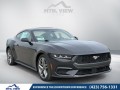 2024 Ford Mustang Ecoboost, B9010, Photo 25