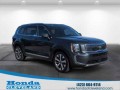 2021 Kia Telluride EX's photo