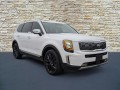 2021 Kia Telluride SX's photo