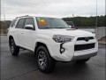 2019 Toyota 4Runner TRD Off-Road Premium's photo
