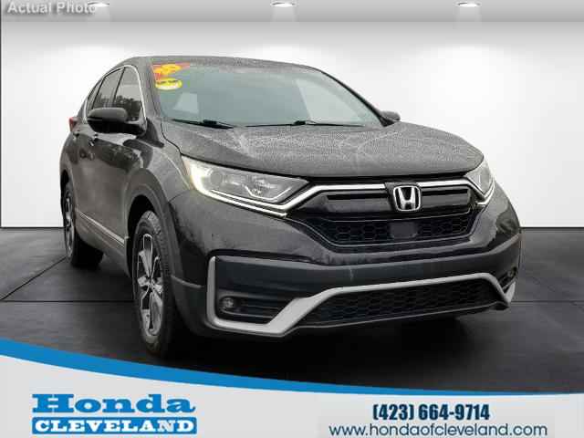 2025 Honda CR-V EX-L 2WD, T000149, Photo 1