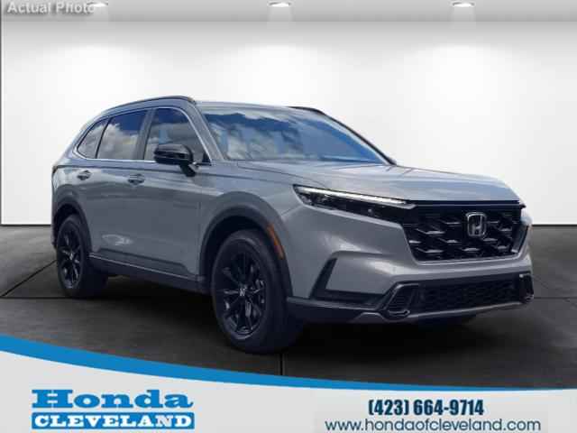 2025 Jeep Wrangler Willys 4 Door 4x4, P539387, Photo 1