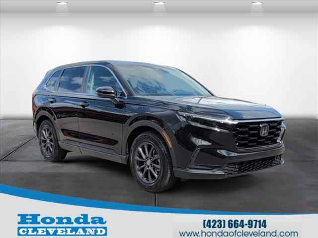 2026 Honda Passport RTL AWD, TB038895, Photo 1