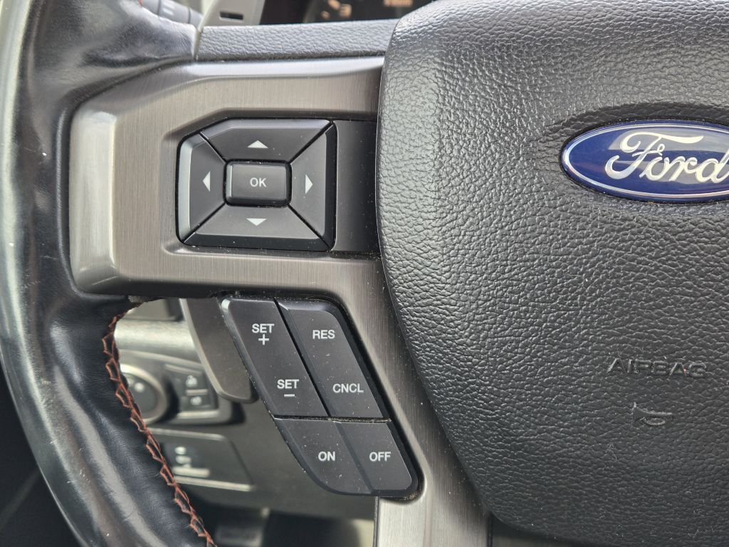 2017 Ford F-150 Raptor, A81087, Photo