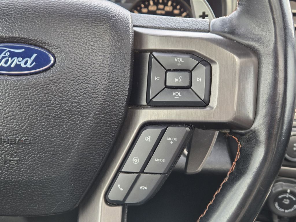 2017 Ford F-150 Raptor, A81087, Photo