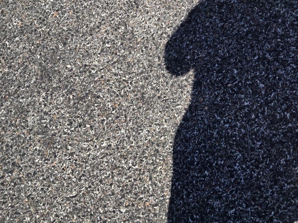 2017 Lexus RX 350 , 051359, Photo