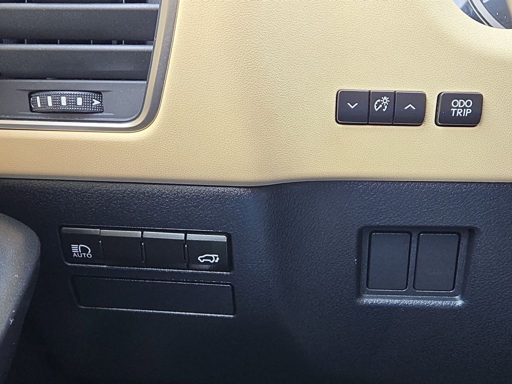 2018 Lexus NX 300 NX 300, 092817, Photo