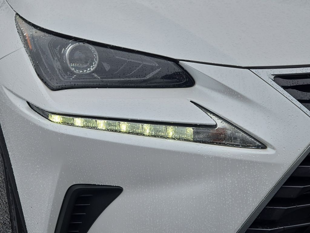 2018 Lexus NX 300 NX 300, 092817, Photo