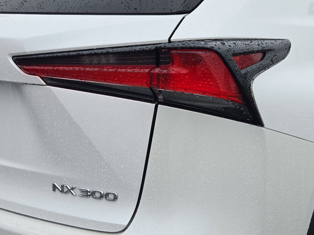 2018 Lexus NX 300 NX 300, 092817, Photo