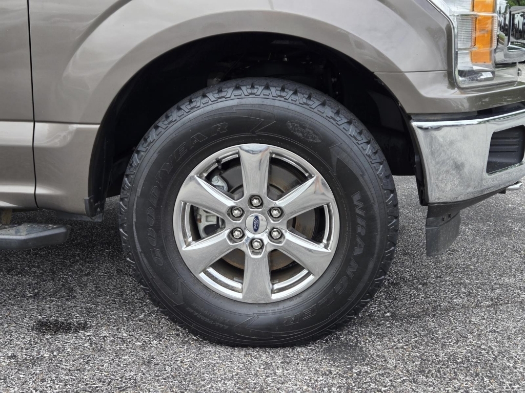 2019 Ford F-150 XLT, B32644, Photo
