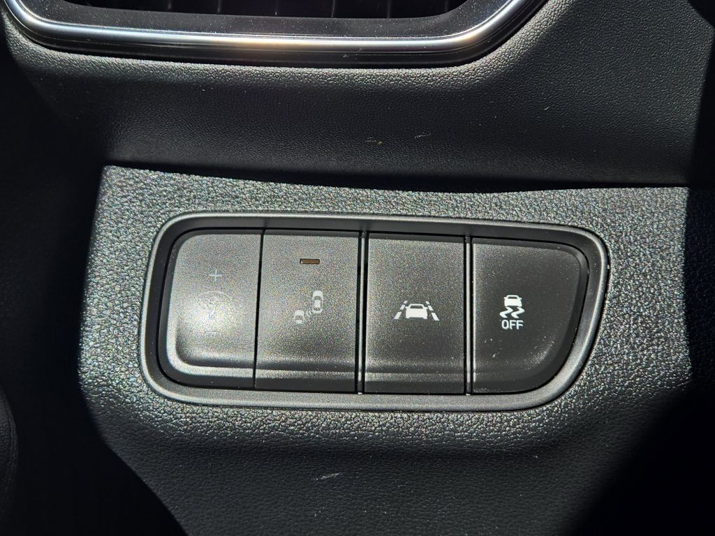 2019 Hyundai Santa Fe SE, 121002, Photo