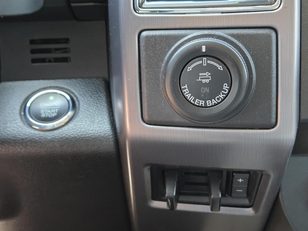 2020 Ford Expedition Platinum, A78880, Photo