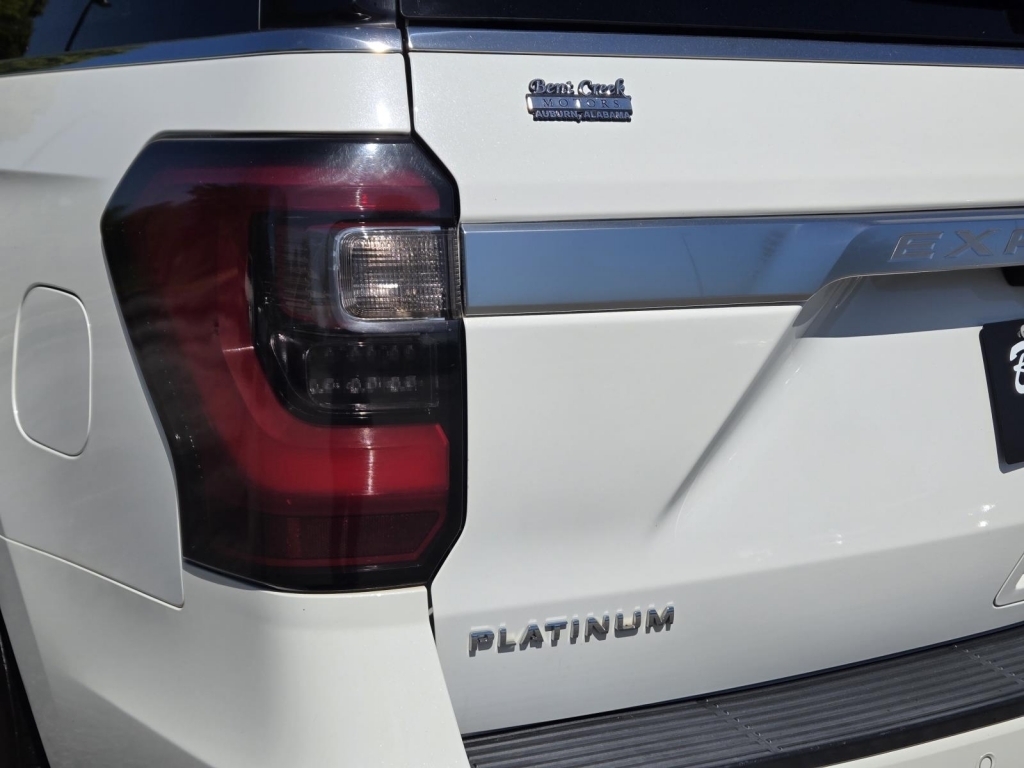 2020 Ford Expedition Platinum, A78880, Photo