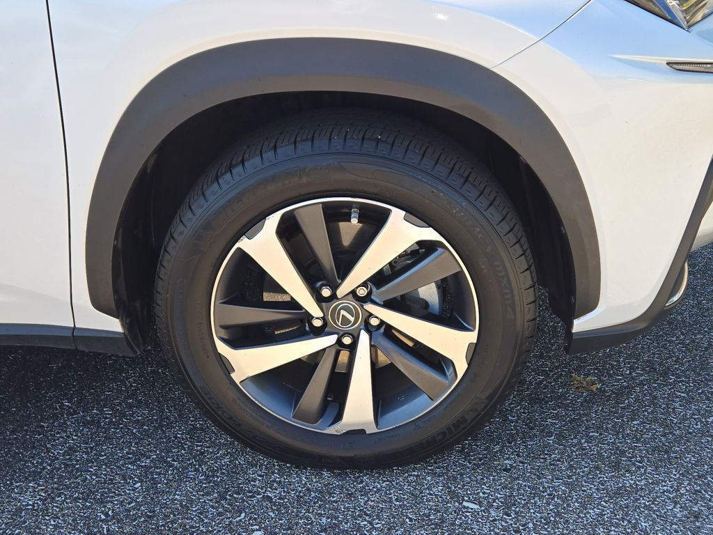 2020 Lexus NX 300 Premium photo 2