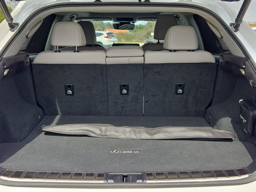 2020 Lexus RX 350 RX 350, 176832, Photo