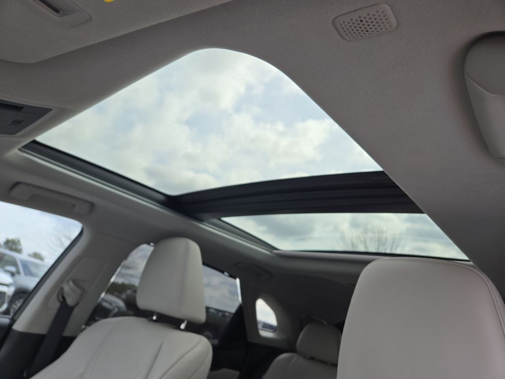 2020 Lexus RX 350 RX 350, 176832, Photo