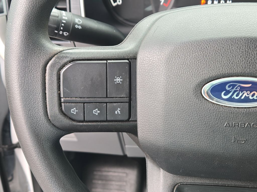 2021 Ford F-150 XL, E19099, Photo