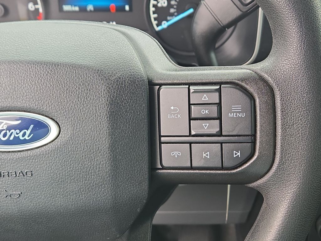 2021 Ford F-150 XL, E19099, Photo