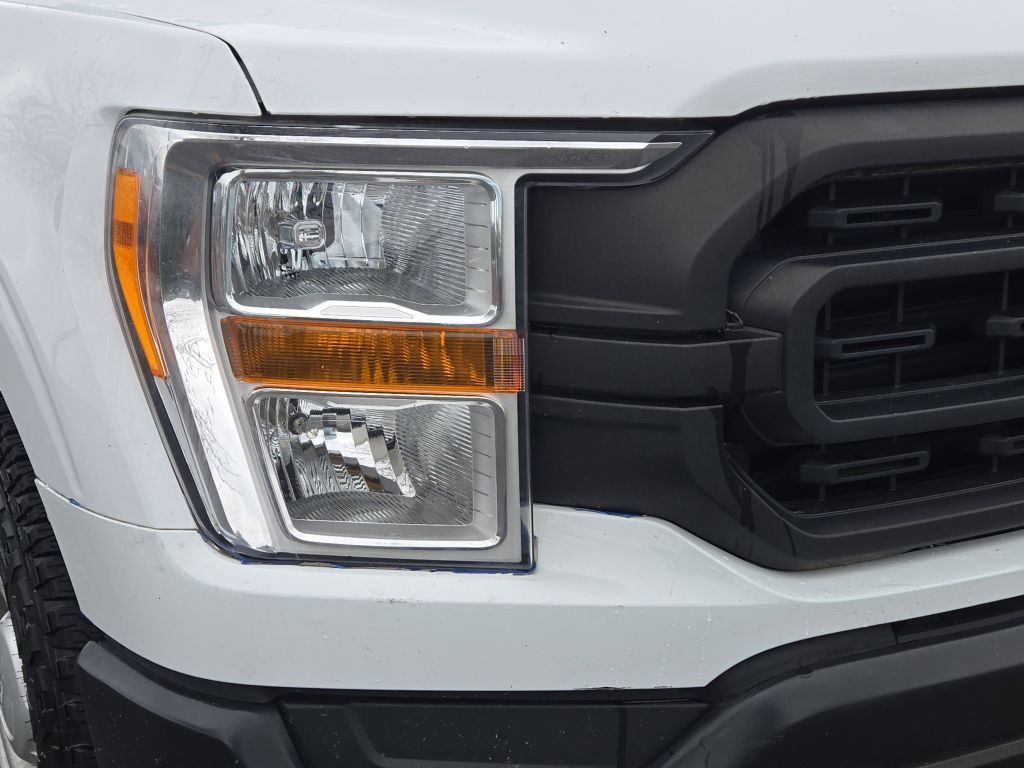 2021 Ford F-150 XL, E19099, Photo