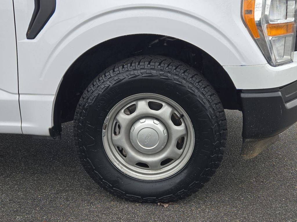 2021 Ford F-150 XL, E19099, Photo