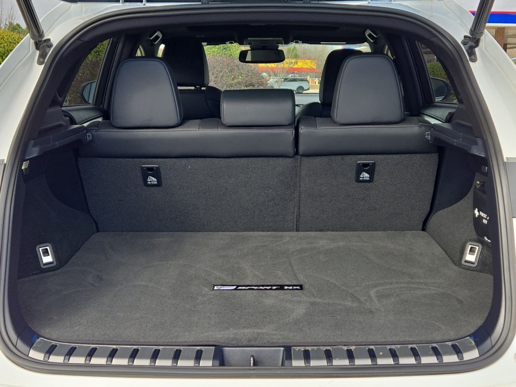 2021 Lexus NX 300 NX 300 F SPORT, 198754, Photo