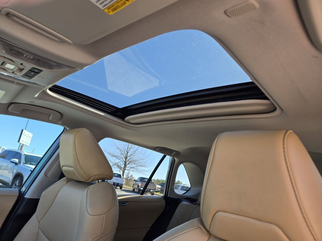 2023 Toyota RAV4 XLE Premium, 288364, Photo