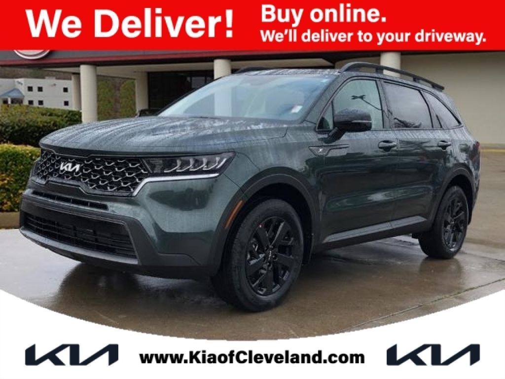 2024 Kia Telluride S AWD, K528319, Photo 1