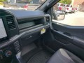 2024 Ford F-150 STX 4WD SuperCrew 5.5' Box, FT24051, Photo 17