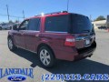 2015 Ford Expedition 2WD 4-door Platinum, EX23005A, Photo 6