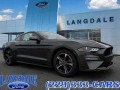 2019 Ford Mustang EcoBoost, BR22043B, Photo 1