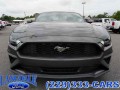 2019 Ford Mustang EcoBoost, BR22043B, Photo 9