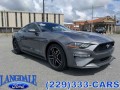 2021 Ford Mustang EcoBoost Premium, BR22003B, Photo 2