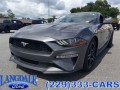 2021 Ford Mustang EcoBoost Premium, BR22003B, Photo 8
