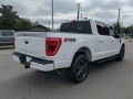 2022 Ford F-150 , FT22134, Photo 4