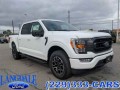 2022 Ford F-150 , FT22166, Photo 1