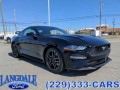 2022 Ford Mustang , MT22005, Photo 1