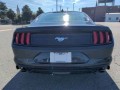 2022 Ford Mustang , MT22058, Photo 5