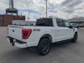 2023 Ford F-150 , FT23081, Photo 4