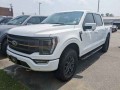 2023 Ford F-150 , FT23184, Photo 6