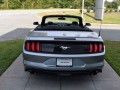 2020 Ford Mustang EcoBoost Premium, P3560, Photo 4