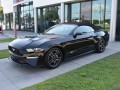 2021 Ford Mustang EcoBoost Premium, P3544, Photo 6