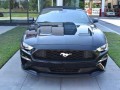 2021 Ford Mustang EcoBoost Premium, P3544, Photo 7