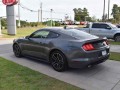 2021 Ford Mustang EcoBoost Premium, P3567, Photo 5
