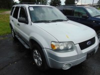 Used, 2007 Ford Escape XLT, White, A68909-1
