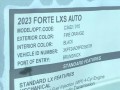 2023 Kia Forte LXS IVT, D560789, Photo 13