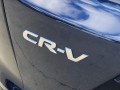 2019 Honda CR-V EX-L 2WD, T021796, Photo 14