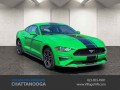 2019 Ford Mustang EcoBoost, T205102, Photo 1