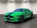 2019 Ford Mustang EcoBoost, T205102, Photo 4
